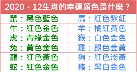 屬虎幸運色2023|十二生肖「幸運數字、幸運顏色、大吉方位」！跟著做。